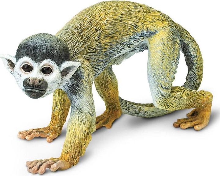 Safari Totenkopfaffe