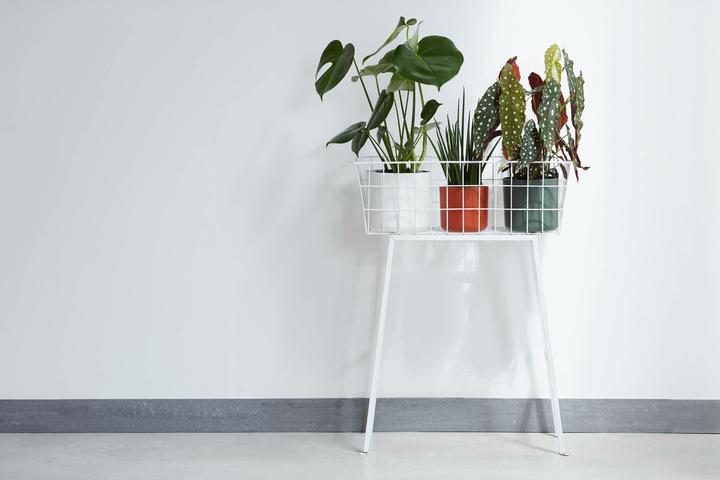 Actual product image Elho B.for soft (16 cm)