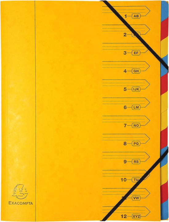 Image du produit Exacompta Fiches de classement agrafées (A4, 1 x)