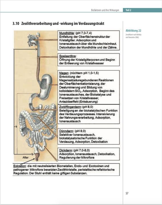 Actual product image Biofaktoren für gesundes Altern (German, Charles Hecht, 2024)