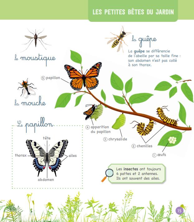 Image du produit Le grand imagier Montessori de la nature et des animaux (Français, Georges Laurence, 2023)