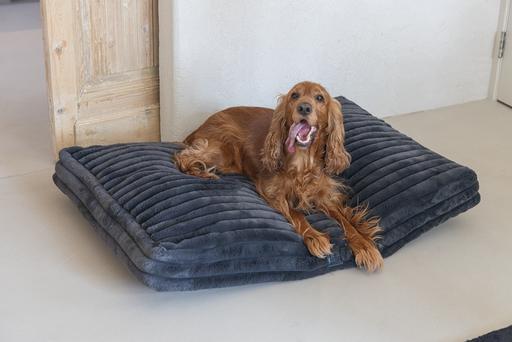 Actual product image Designed by Lotte Reza reclining cushion (Dog)