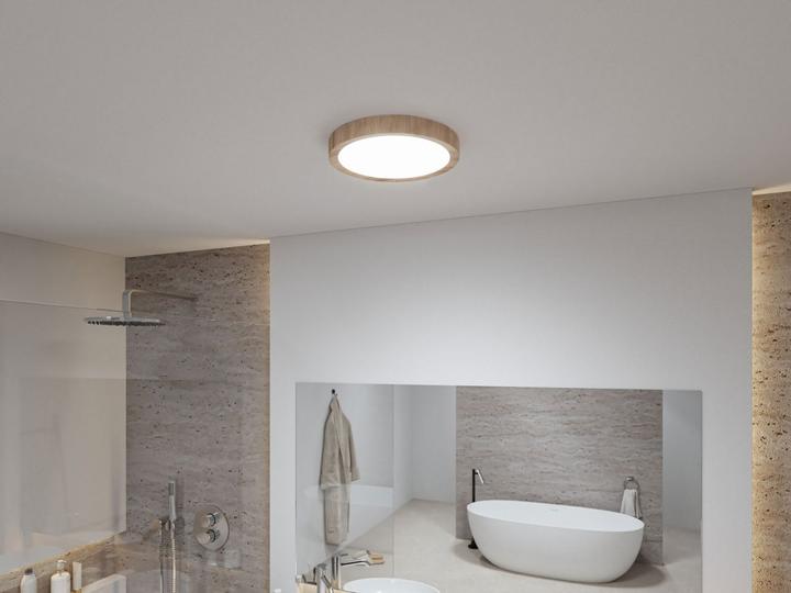 Actual product image Paulmann LED ceiling light (2400 lm)