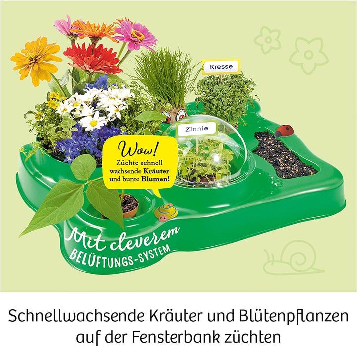 Actual product image Kosmos My first greenhouse