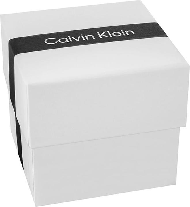 Produktbild Calvin Klein Timeless Mesh Damenuhr 25200003 + BOX (Analoguhr)