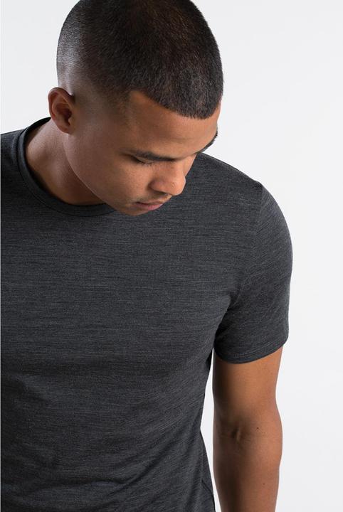 Produktbild Icebreaker Anatomica SS (M)