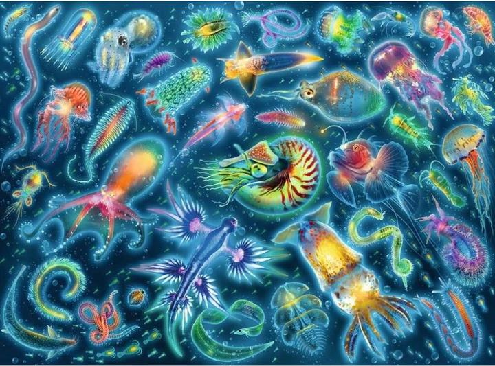 Image du produit Ravensburger Espèces sous-marines colorées (500 pièces)