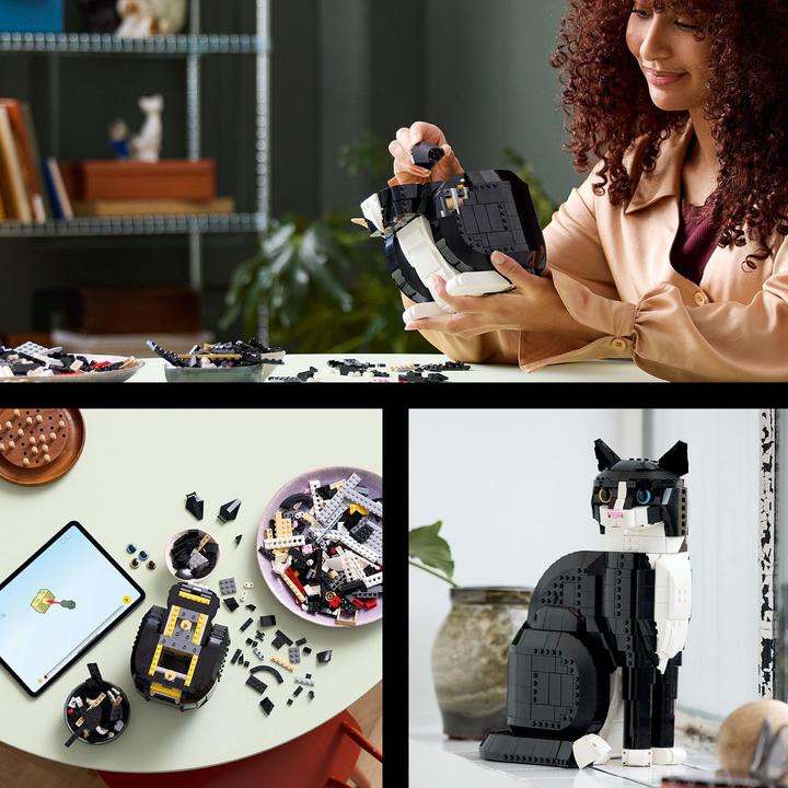 Productafbeelding LEGO Vertrouwelijk (21349, LEGO Ideeën, LEGO Zeldzame Sets)