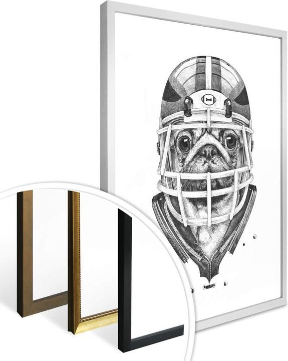 Actual product image Trenddeko American Pug Football (100 x 120 cm)
