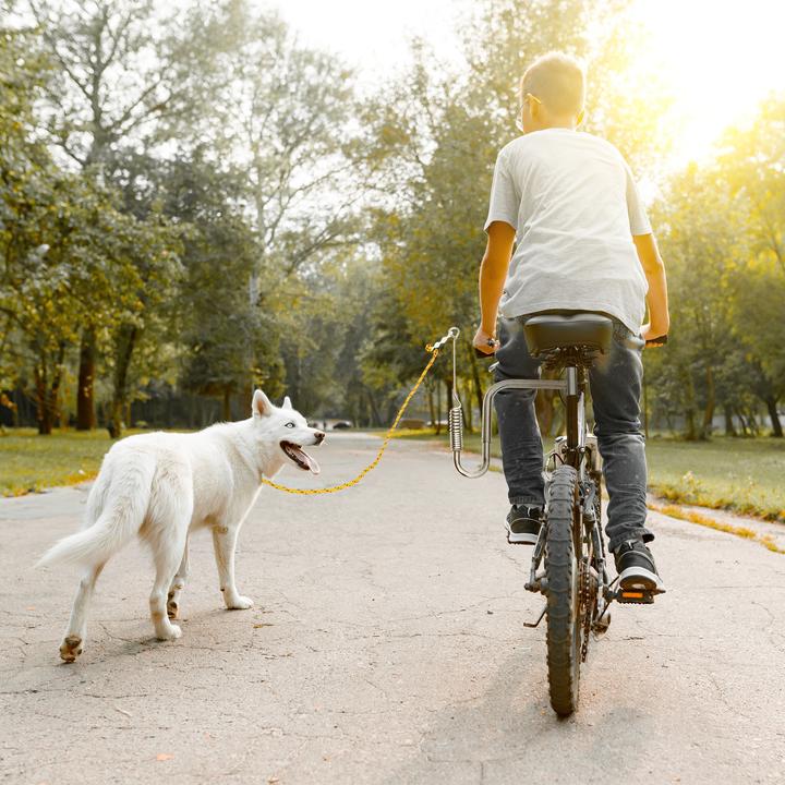 Actual product image Relaxdays Bicycle leash (One size, Dog, Pushbike)