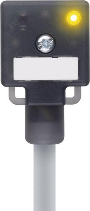 Escha Valve connector type A Black VA22-24.3-5/P01 Poles:2+PE bridged 804782