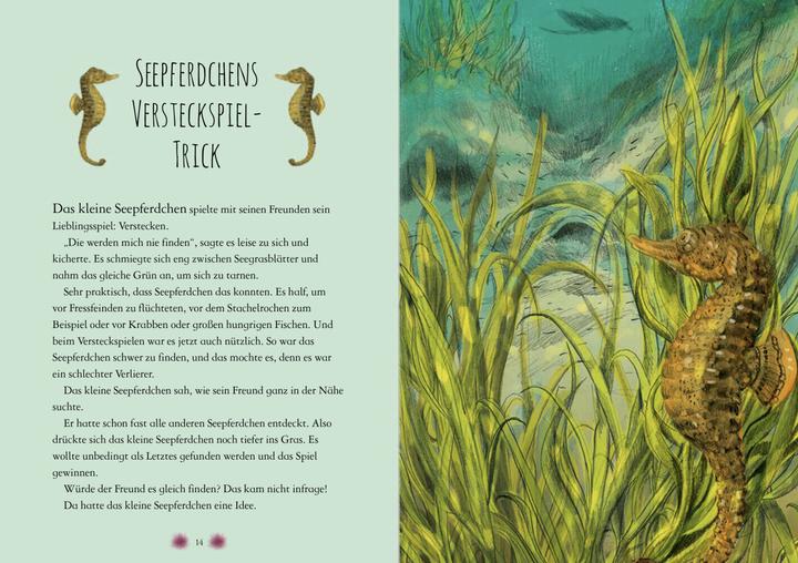 Actual product image Wonderful world of animals in the sea - read by Jakob Graf (Chae Strathie, Jakob Graf, Erin Brown, Beatrix Rohrbacher, German)