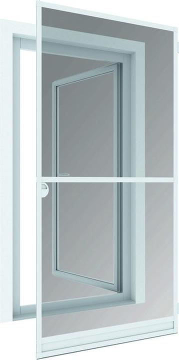 120 x 240 cm