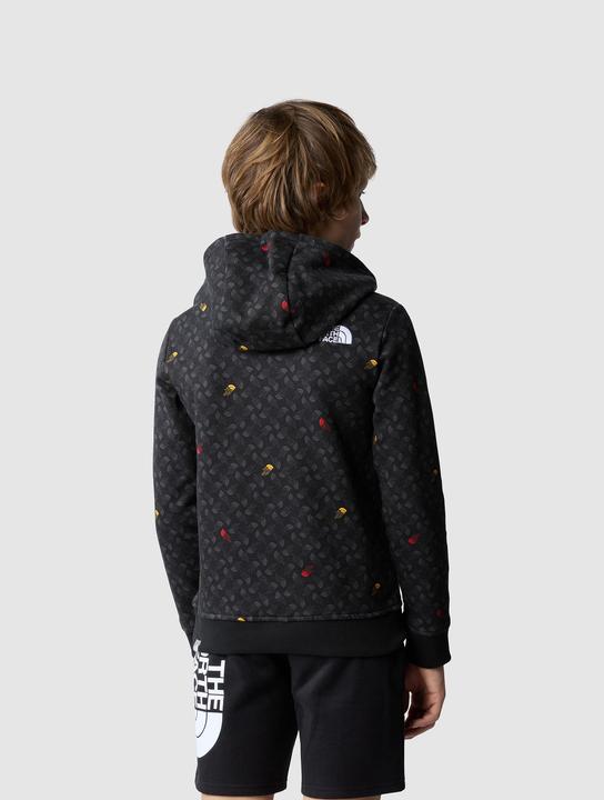 Image du produit North Face Impression sweat à capuche garçon Drew Pealight P/O (S)