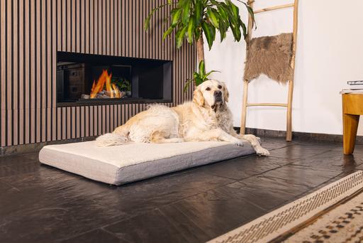 Immagine prodotto Beeztees Zira (Cane)