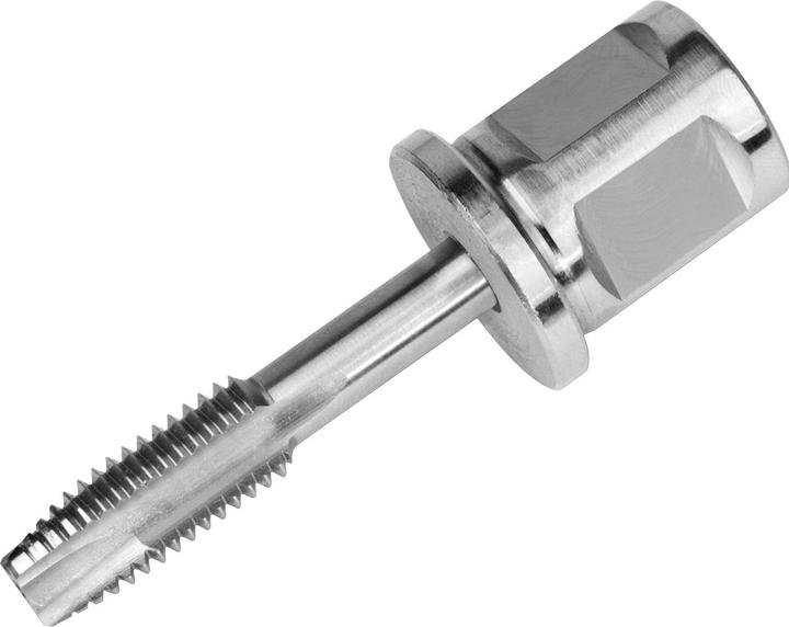 Produktbild Fein Gewindebohrer für Durchgangslöcher mit Adapter 3/4 in Weldon-Aufnahme, Gewinde M 10