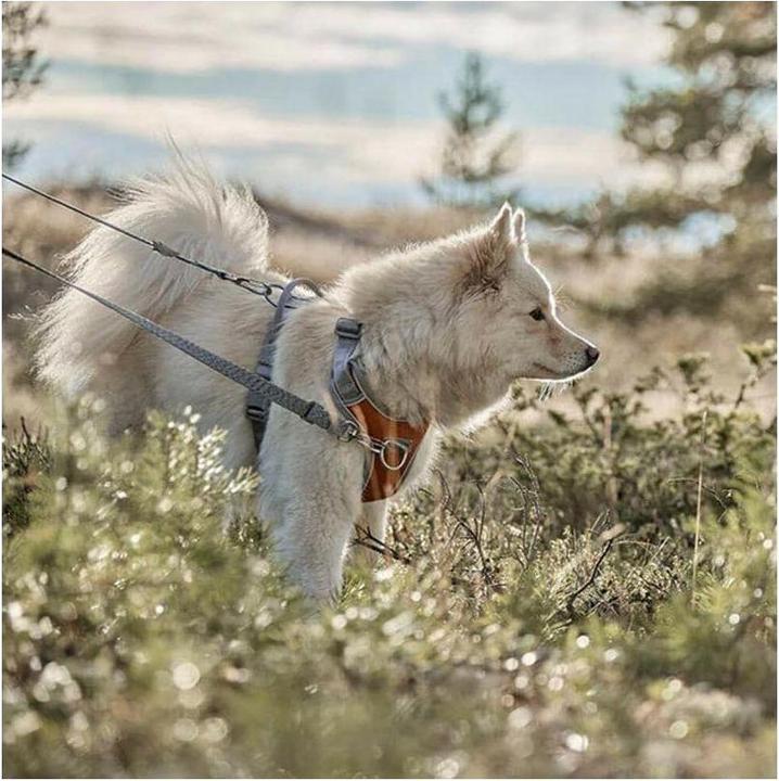 Actual product image Hurtta Harness Venture No-Pull, 45-60, Grey (45, 46, 47, 48, 49, 50, 52, 54, 56, 58, 60, Dog, General)