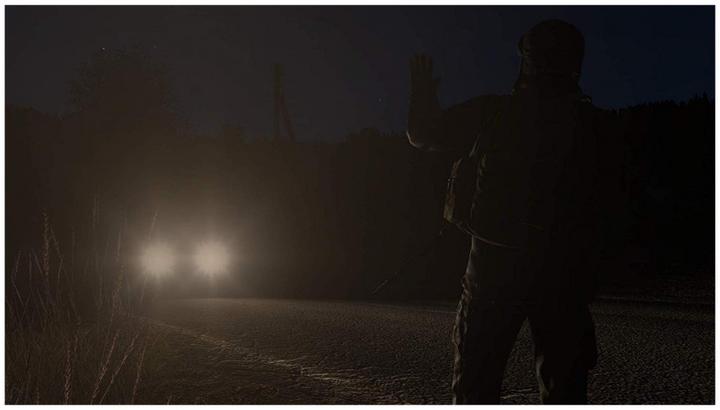 Immagine prodotto Sold Out DayZ (PS4, DE)