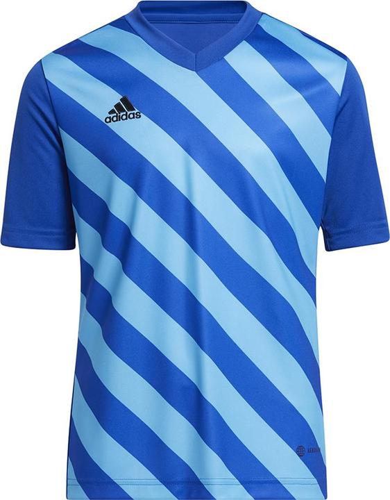 adidas Entrada 22 Graphic Trikot