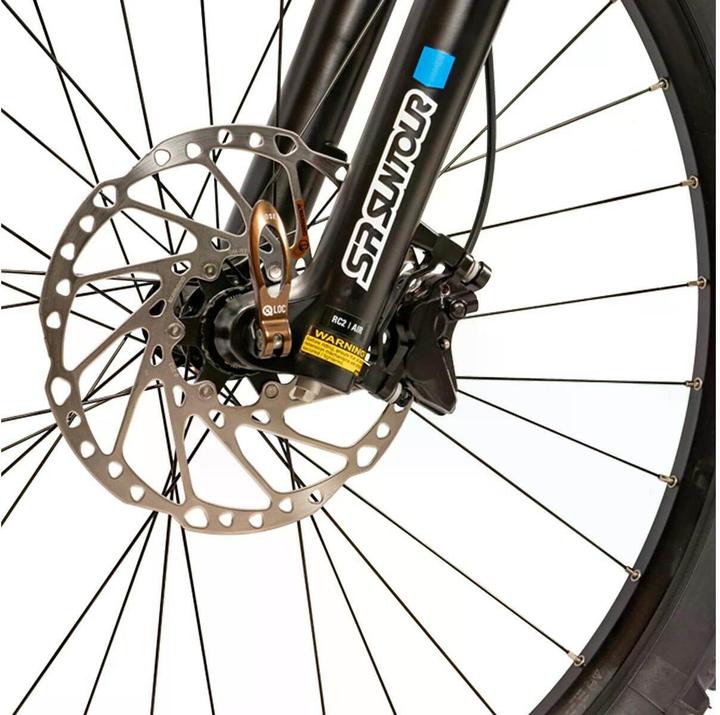 Actual product image Cilo E-mountain bike Diamondcross CXF°05+, silver, L (47 cm)