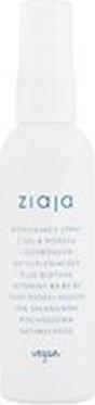 Image du produit Ziaja Limited Summer Modeling Sea Salt Hair Spray - For Wave Support - 90ml (90 ml)