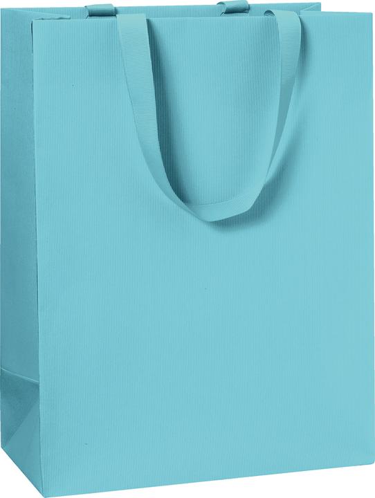 Immagine prodotto Stewo Borsa regalo 23x13x30 monocolore blu chiaro (Borsa da regalo, 1 x)