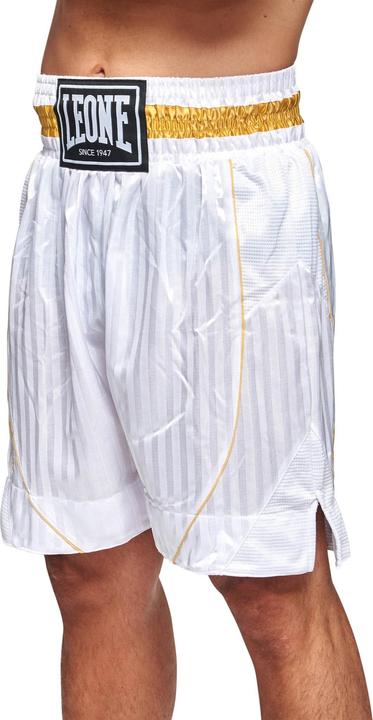 Actual product image Leone Premium boxing trousers AB240 (L)