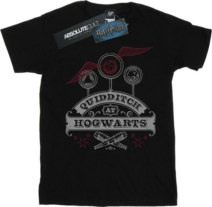 Actual product image Mens Quidditch At Hogwarts T-Shirt (L)