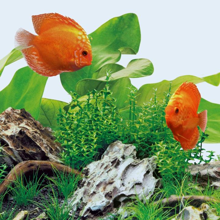 Produktbild Juwel Aquarium LED Day (LED, 19 W)