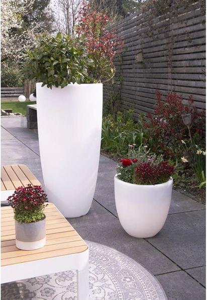 Immagine prodotto 8 seasons design Pentola lucente e sinuosa (49 cm)