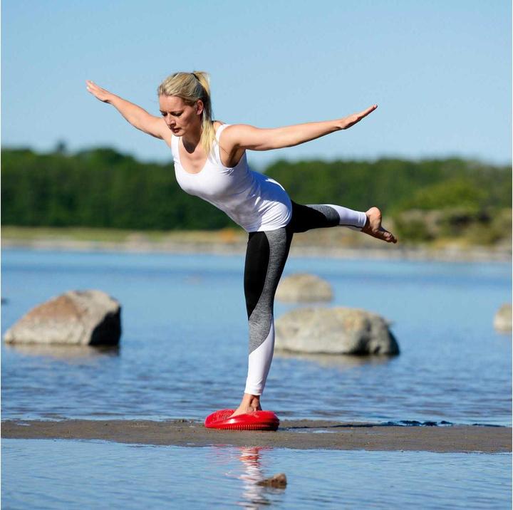 Actual product image Sissel Balancefit
