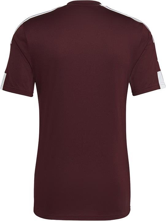 Actual product image adidas Squadra 21 Jersey Short Sleeve (S)