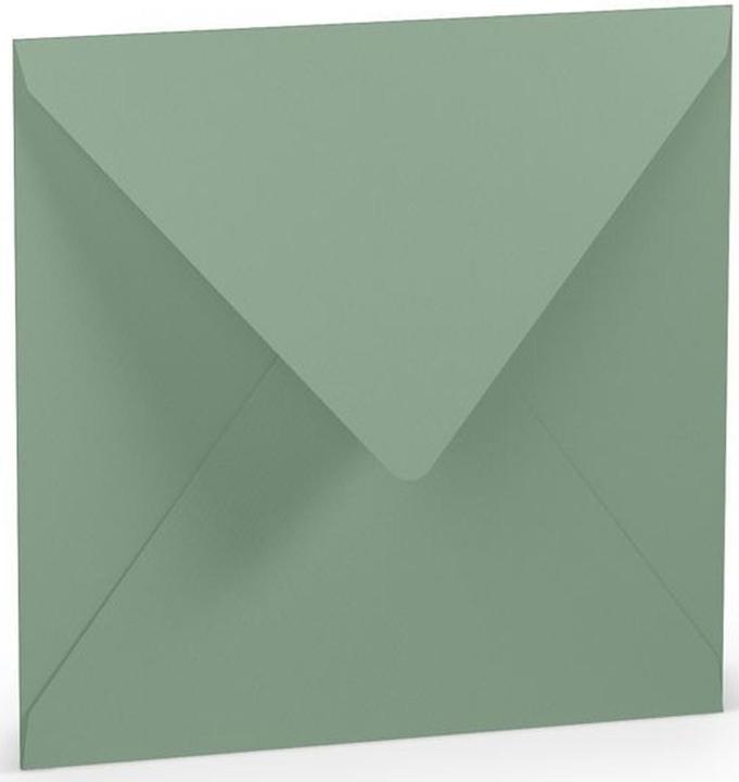 Produktbild Rössler Briefhülle Paperado Eucalyptus (5 x)
