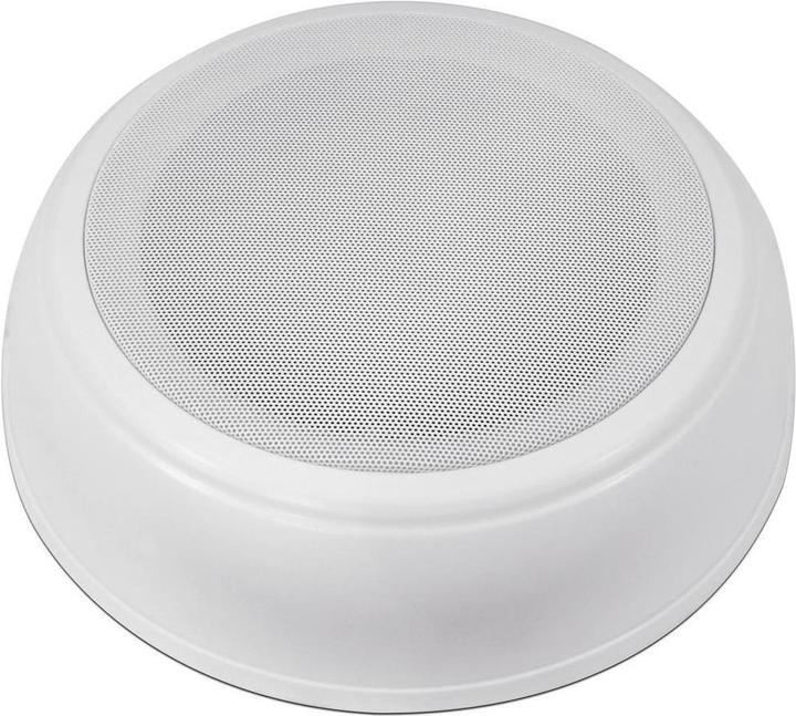 Omnitronic DAL2 ceiling loudspeaker (1 pcs.)