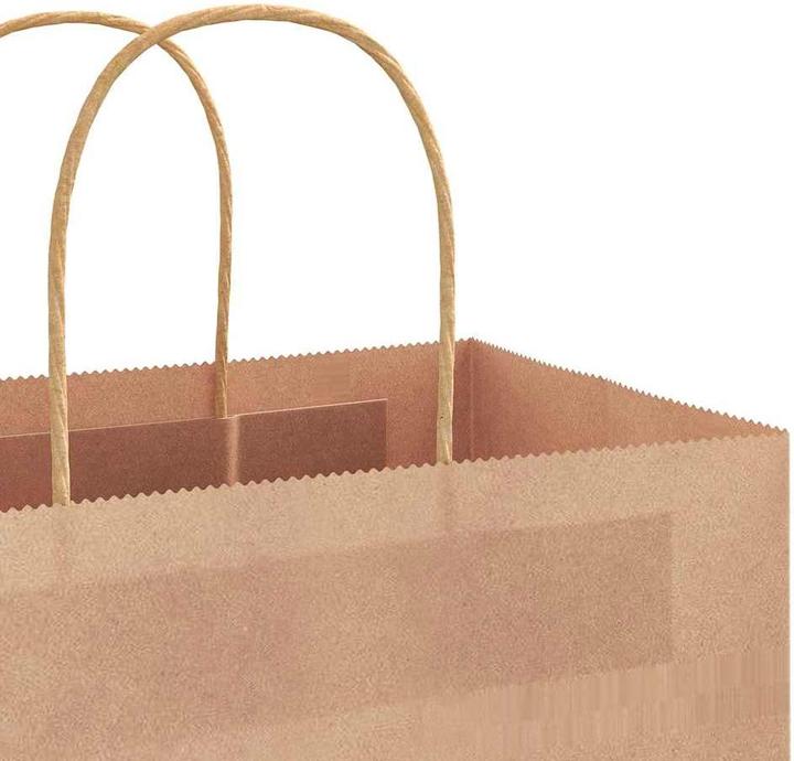 Image du produit VidaXL Sacs en papier kraft 250 pcs. avec anse Marron 45x17x48 cm Sac en papier (Pochette cadeau, 250 x)