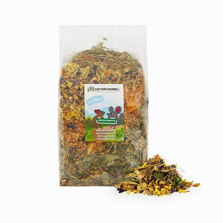 Produktbild FAE FACTORYHERBS Nie byle badyle dla Szynszyli i Koszatniczki 1kg (1 kg, 1 x)