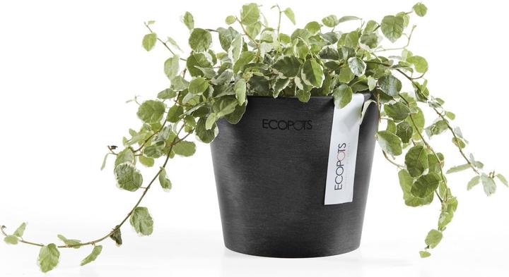 Immagine prodotto Ecopots Amsterdam Mini (10.50 cm)