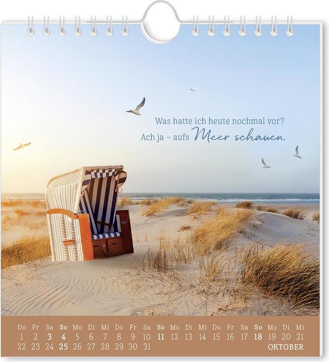 Produktbild Postkartenkalender 2026 Strandgut (16 x 17 cm, Deutsch)
