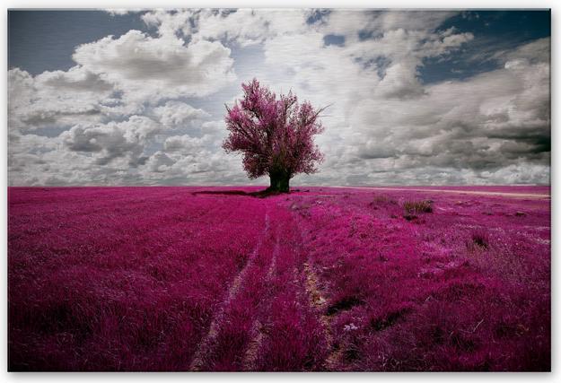 Immagine prodotto Trenddeko L'albero solitario (120 x 75 cm)