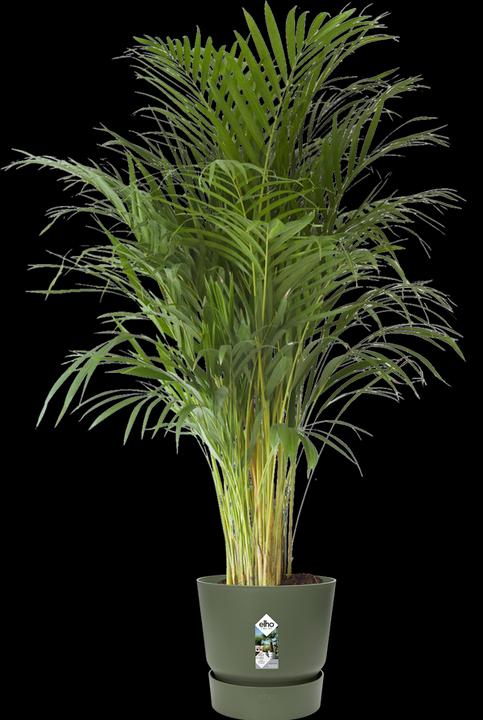 Image du produit Elho Greenville (47 cm)