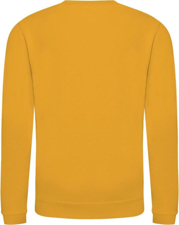 Actual product image Awdis Just Hoods Pullover Sweatshirt Unicoloured (116)