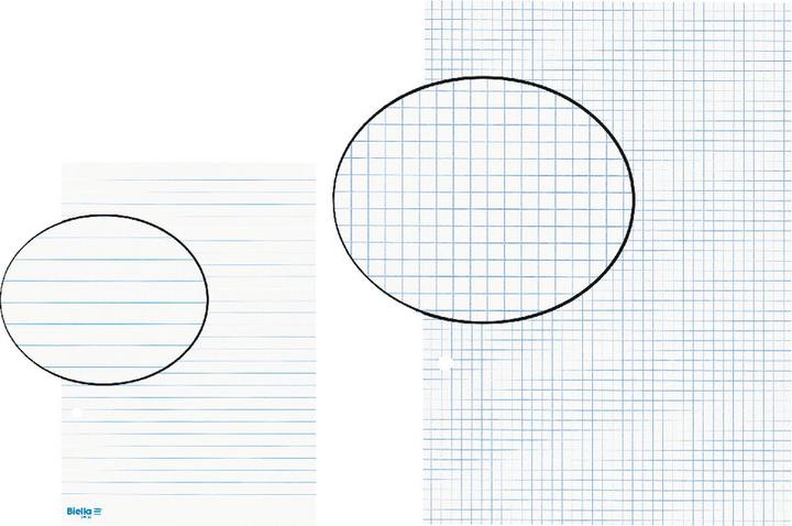 Actual product image Biella Insert sheet
