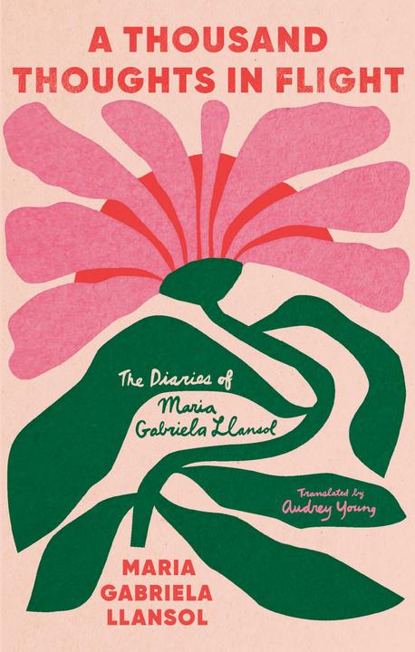 Image du produit A Thousand Thoughts in Flight (Anglais, Maria Gabriela Llansol, 2024)