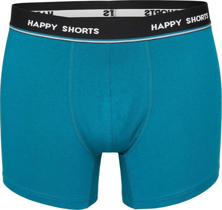 Produktbild Happy shorts Retro Pants Jersey (L, 4er Pack)
