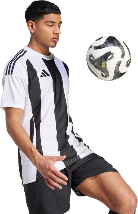 Actual product image adidas Striped 24 Jersey (L)