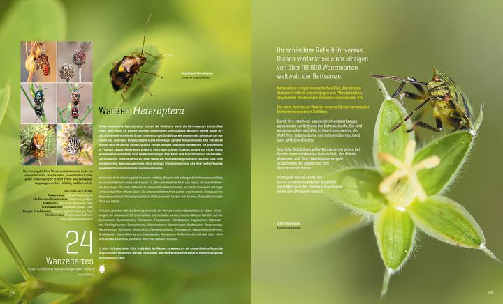 Immagine prodotto Mein Artenretter Garten (Tedesco, Anja Eder, 2024)