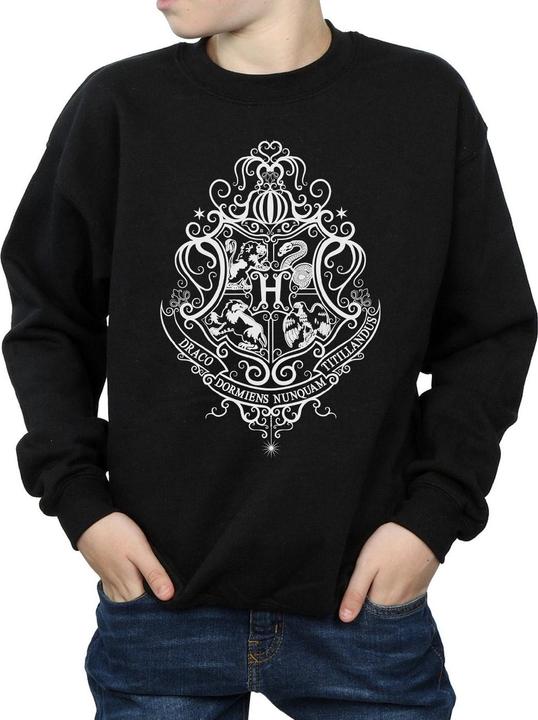 Image du produit - Sweat HOGWARTS DRACO DORMIENS CREST - Garçon (116)