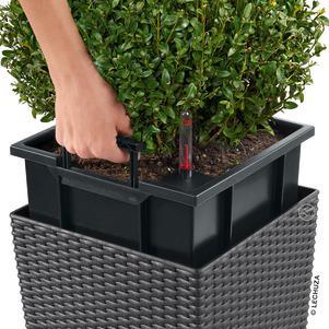 Image du produit Lechuza Cube Cottage (29.50 cm)