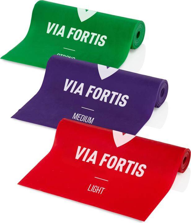 Actual product image Via Fortis Fitness Band Set