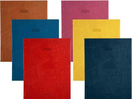 Actual product image Brepols Agenda Optivision Lucca 2023 833949960 ass., 1W/2S, 17.1x22cm (A5, French)
